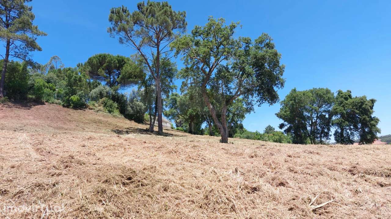 Terreno para construção de Moradias - Grande imagem: 3/4