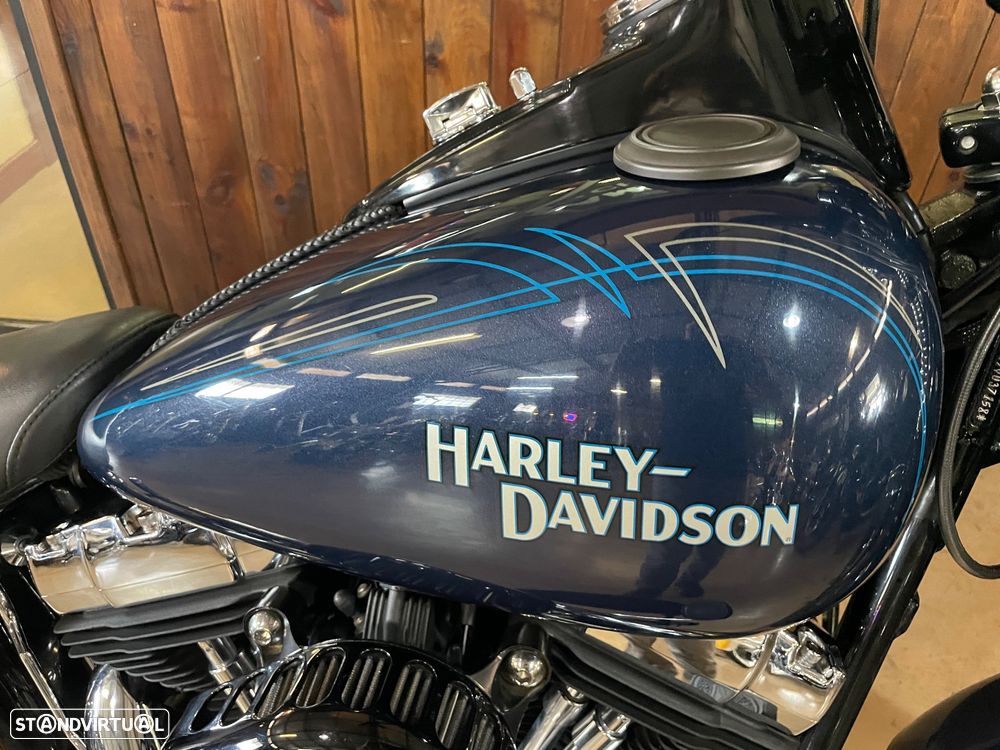 Harley-Davidson FLSTS Crossbones - 3