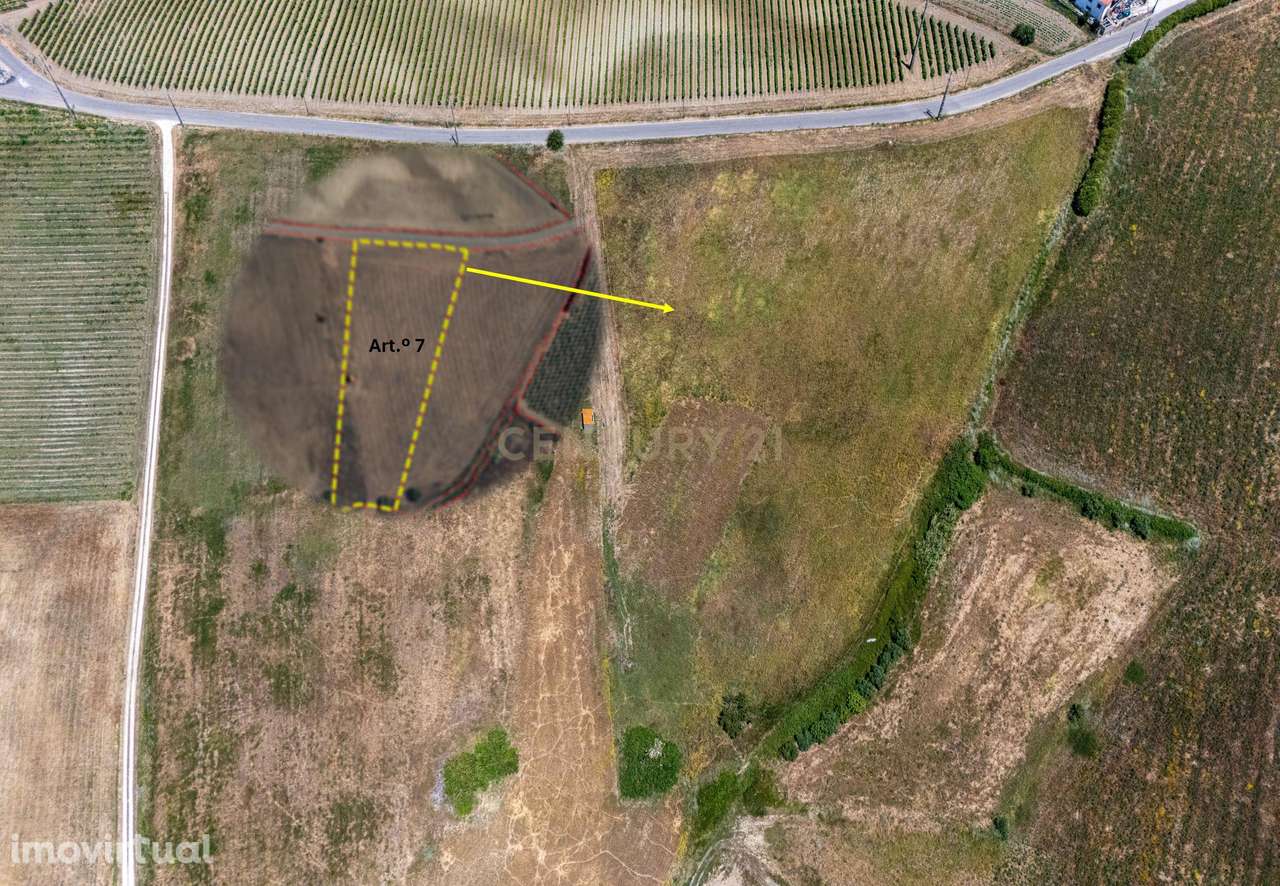 Lote de Terreno Rústico em Carnota – Oportunidade Única de Investiment - Grande imagem: 2/5