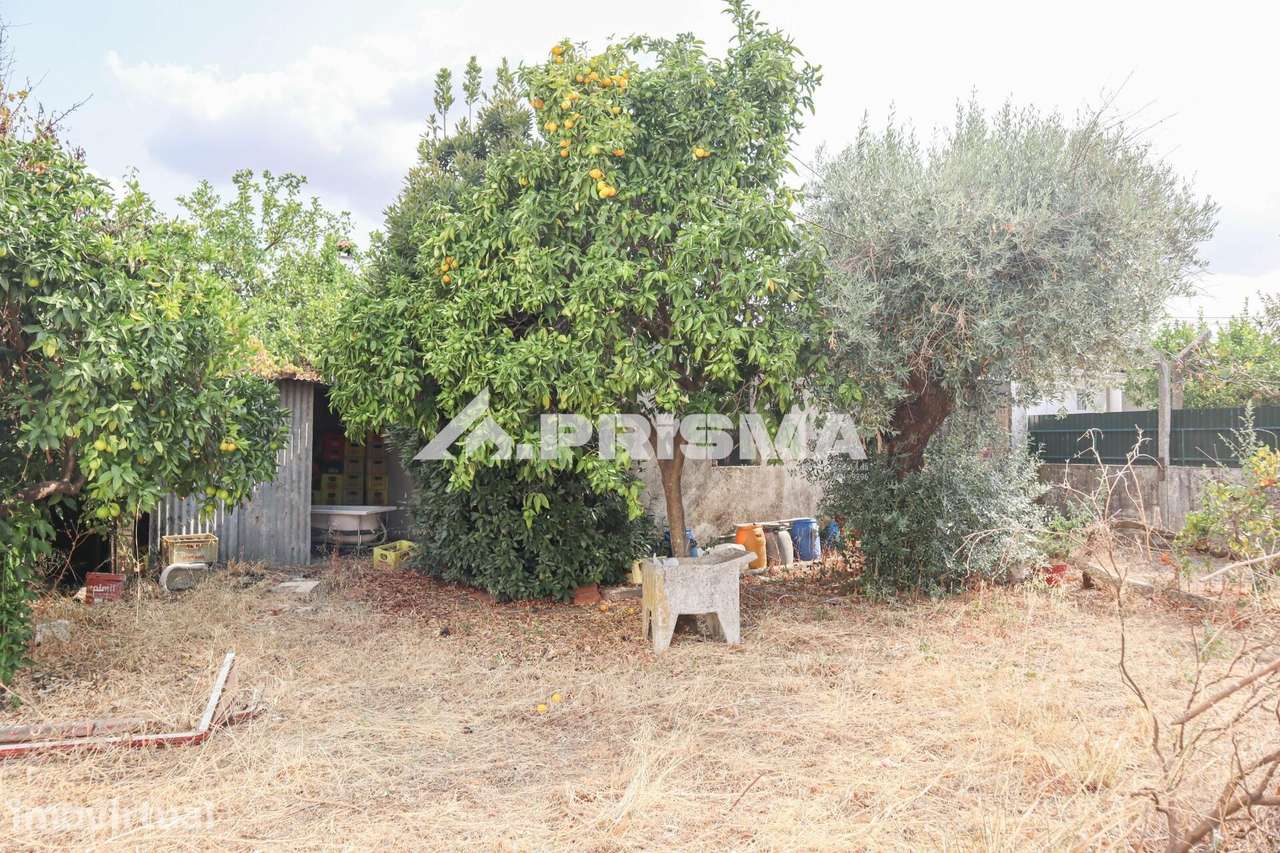 Terreno Urbano para venda em Castelo Branco - Grande imagem: 4/12