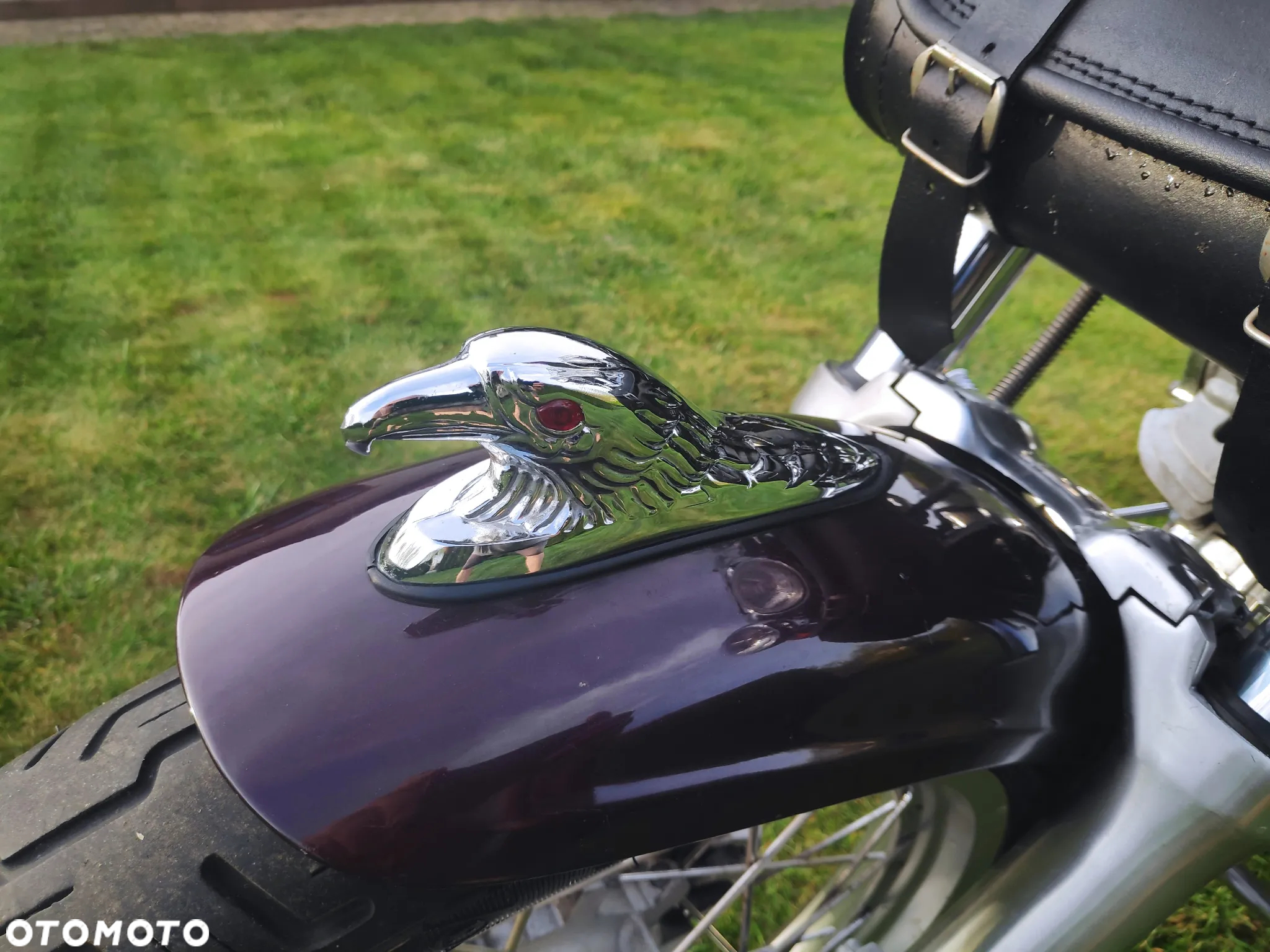 Yamaha Virago - 10