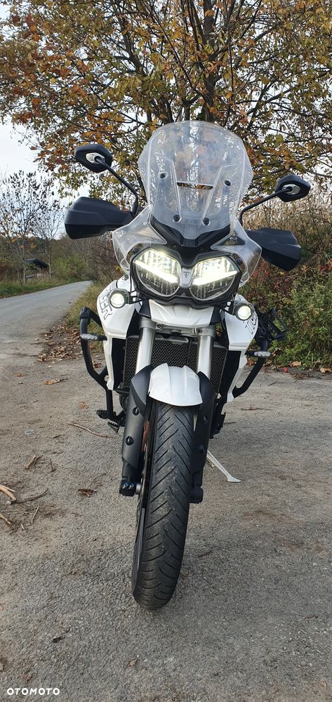 Triumph Tiger - 8