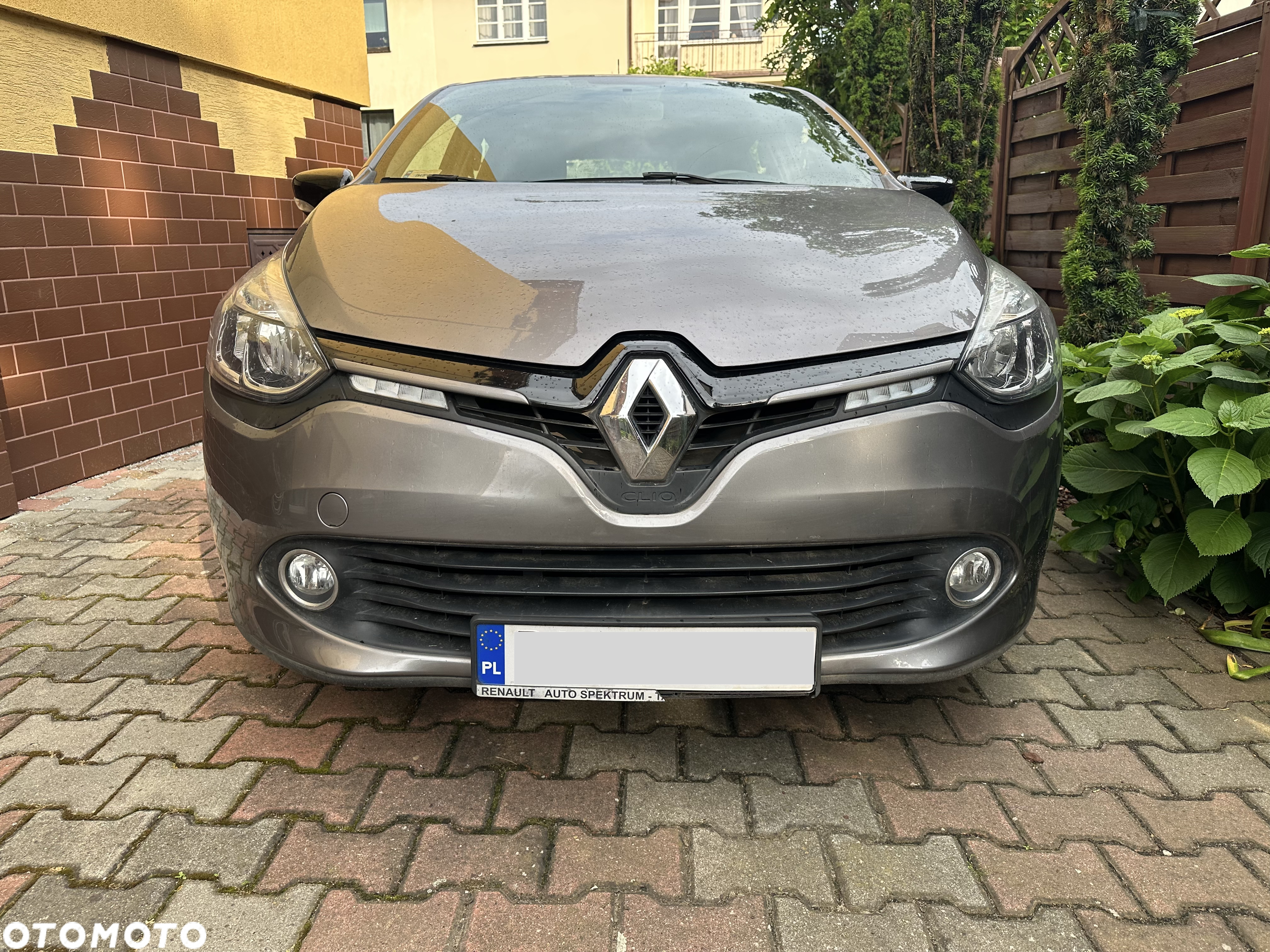 Renault Clio - 17