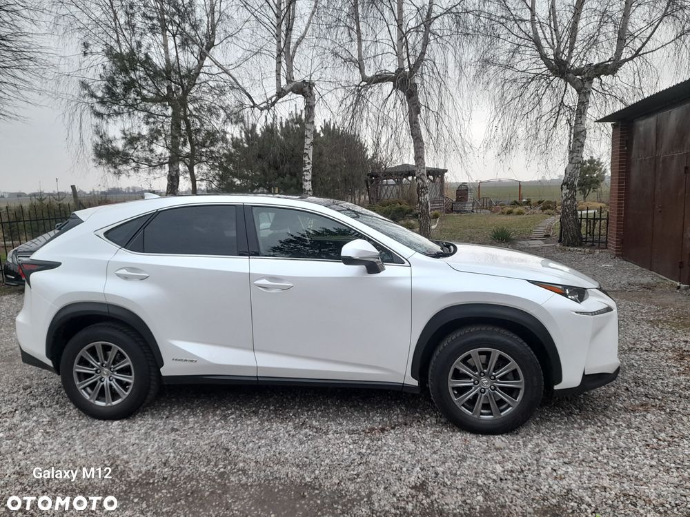 Lexus NX 300h Comfort AWD - 2