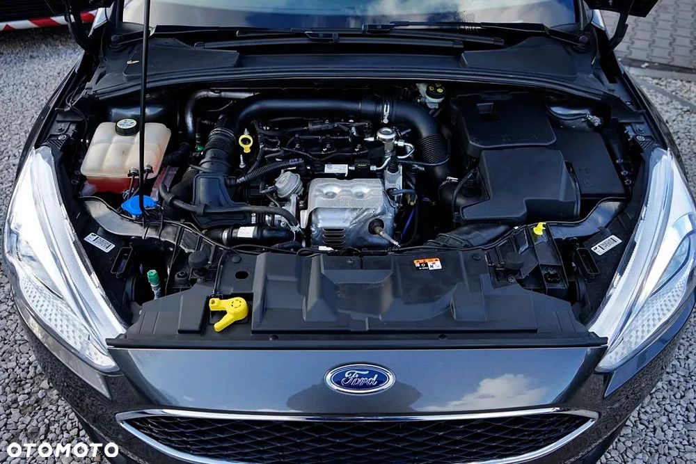 Ford Focus 1.0 EcoBoost SYNC Edition ASS - 15