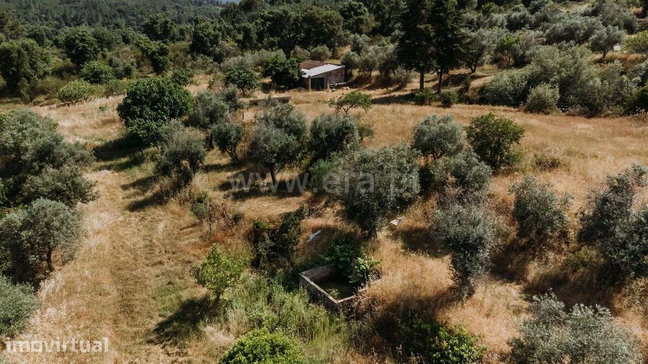 Quintinha T1 / Fundão, Telhado - Grande imagem: 3/12
