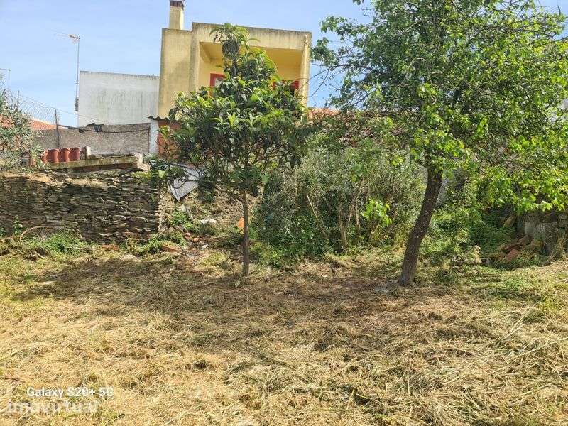Quintal com casa - Grande imagem: 3/7