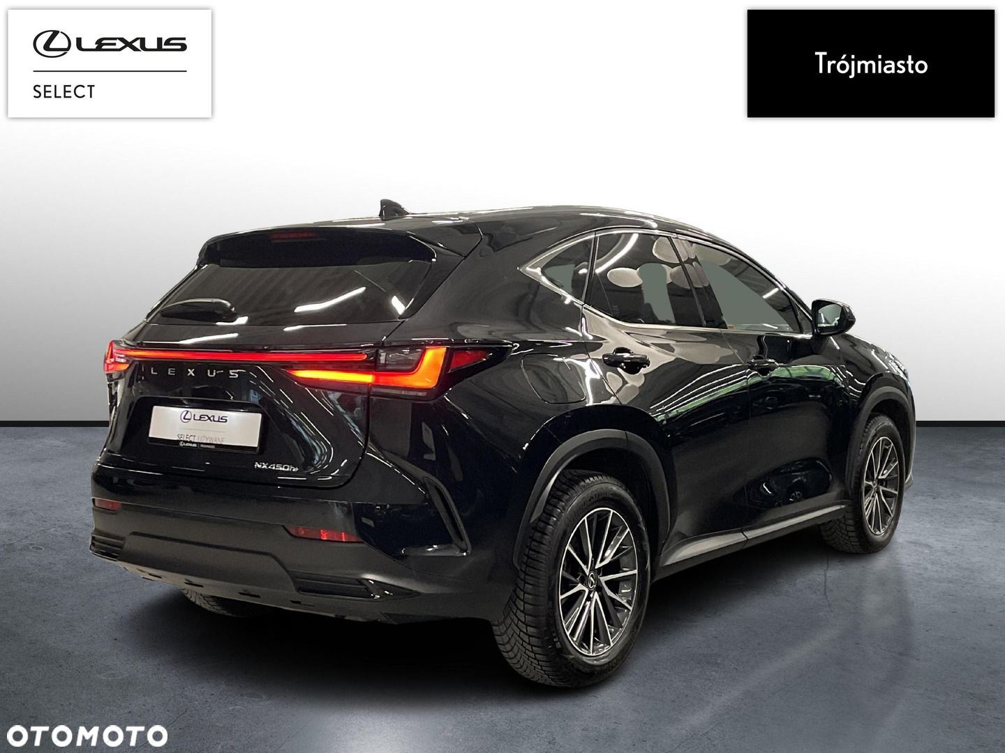 Lexus NX - 6