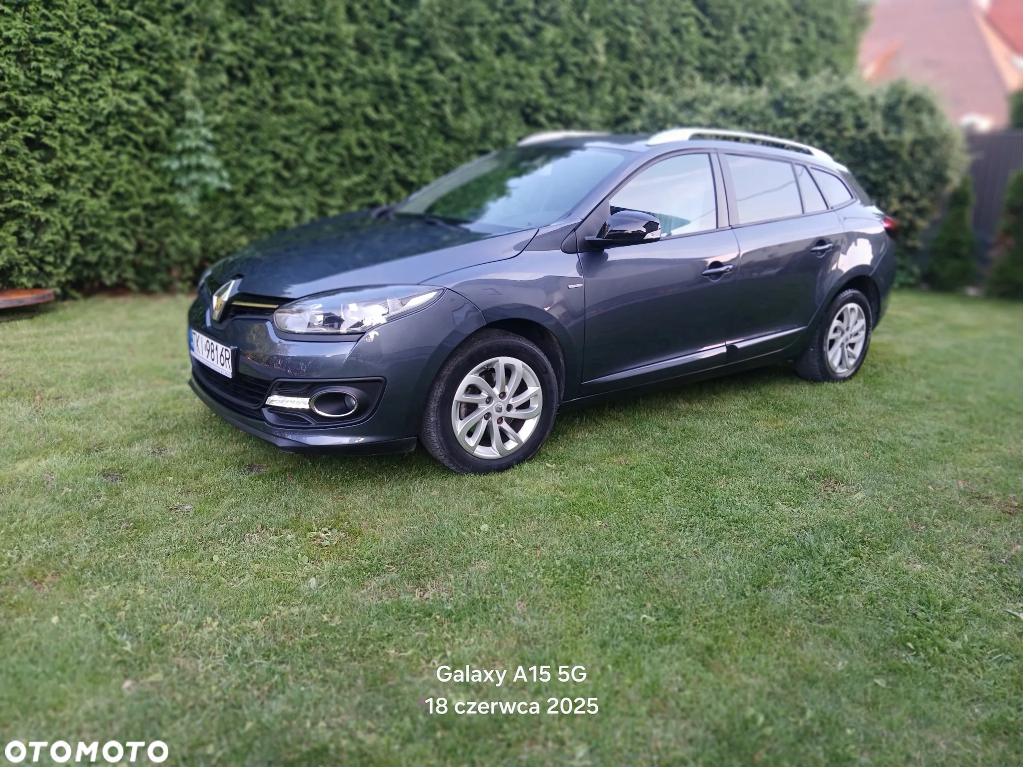 Renault Megane 1.2 16V TCe Energy Limited - 20