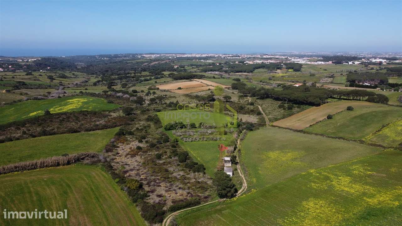 Terreno Rústico com Vista Mar e Serra – Sintra - Grande imagem: 3/14