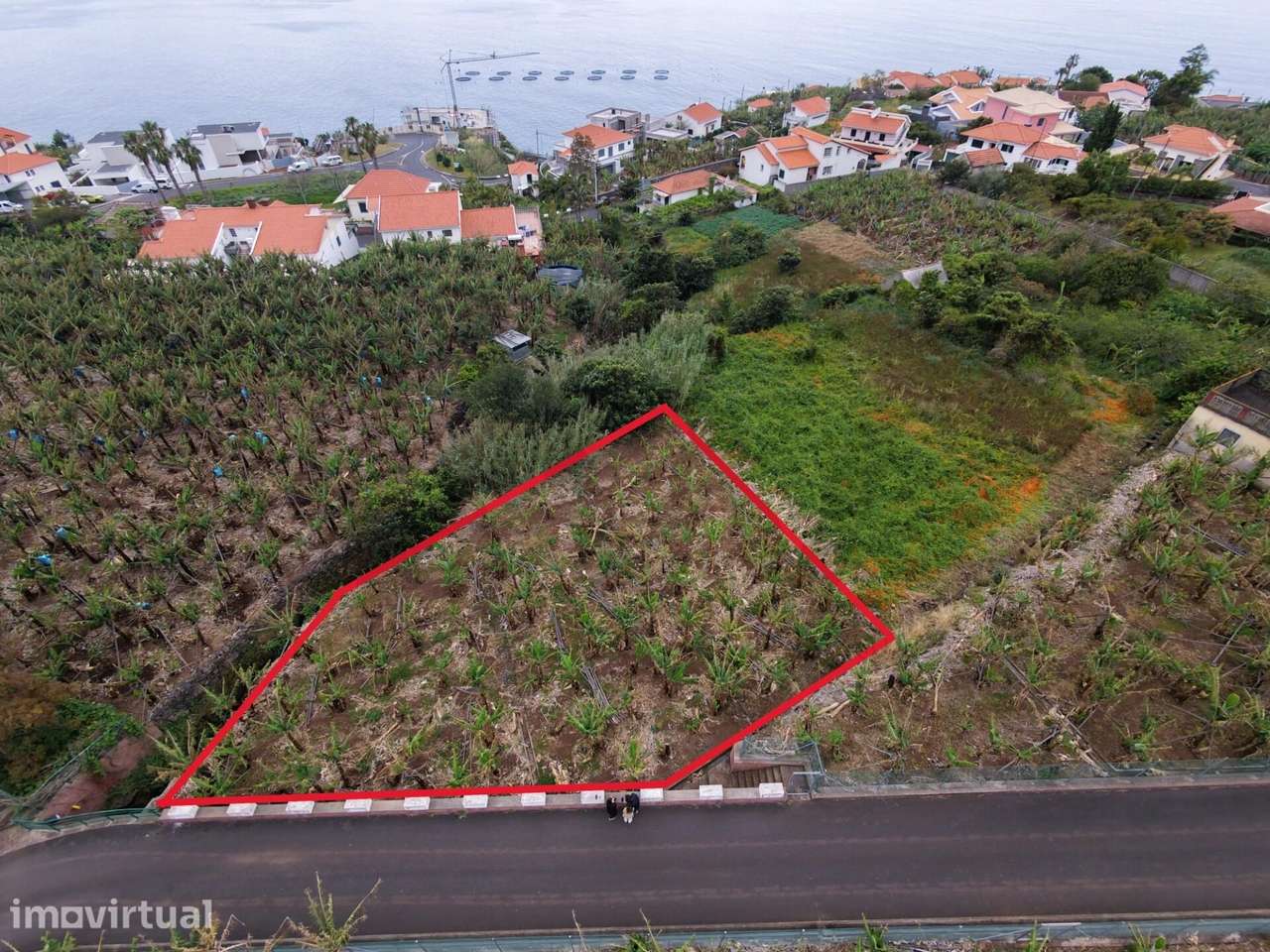 Terreno Rústico Exclusivo no Arco da Calheta – Vista Mar e Localizaçã - Grande imagem: 3/17