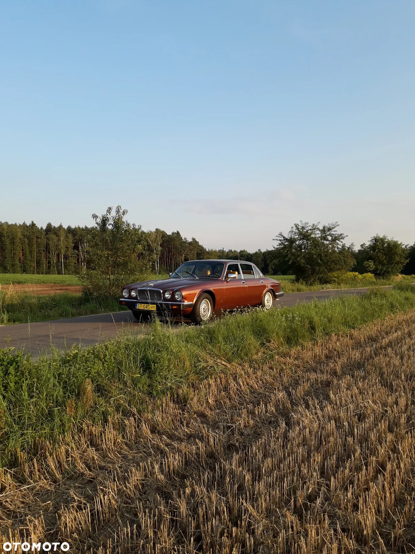 Jaguar XJ - 4
