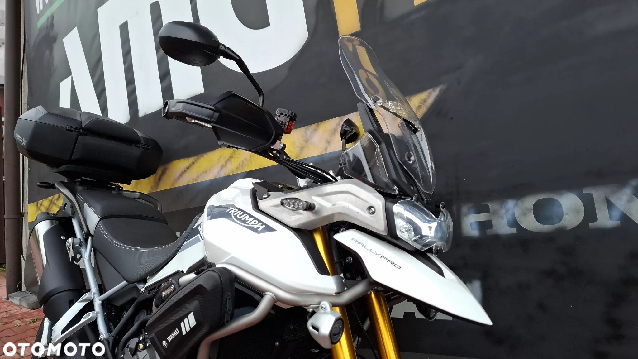 Triumph Tiger - 5
