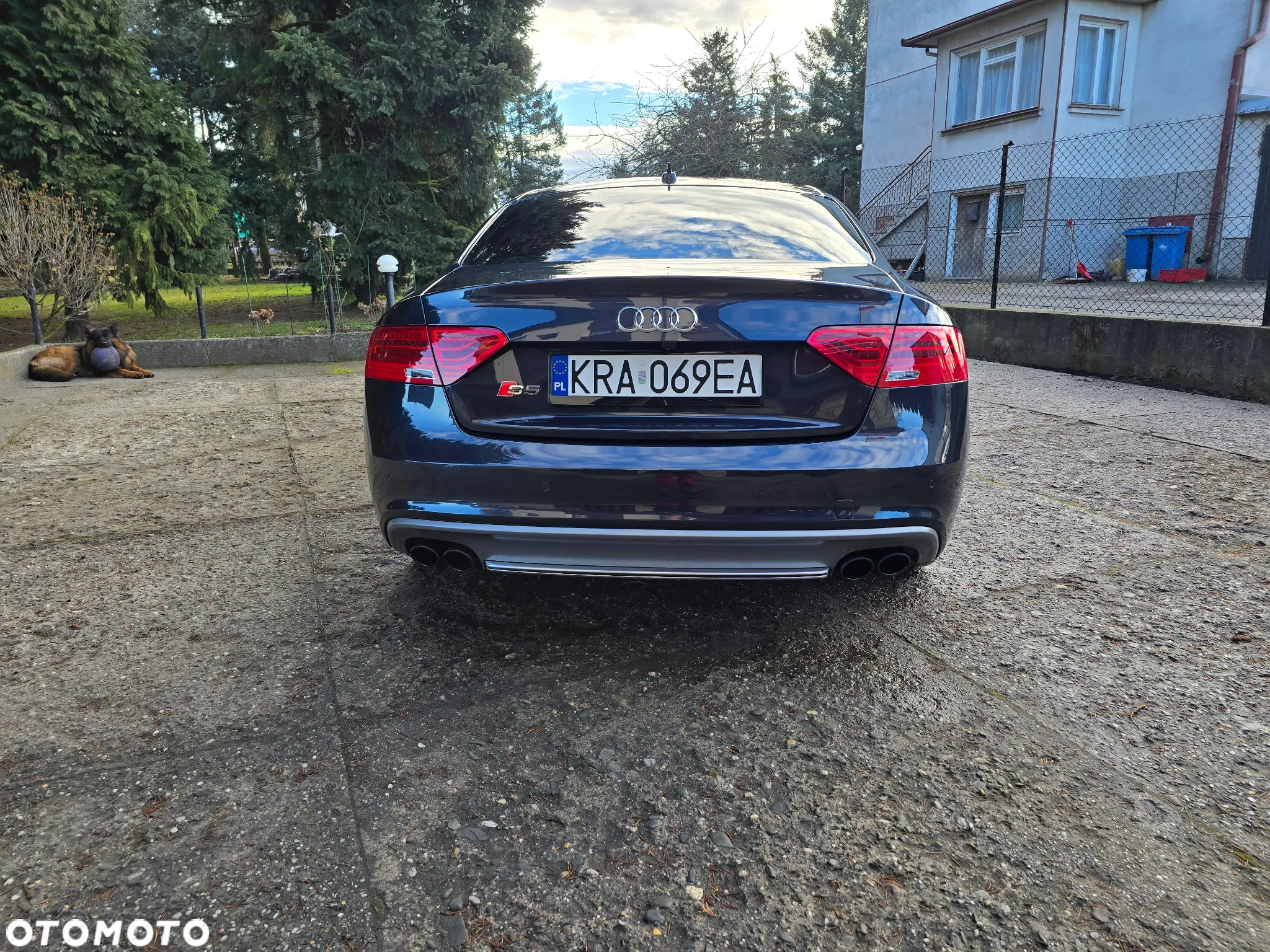Audi S5 3.0 TFSI Quattro S tronic - 8
