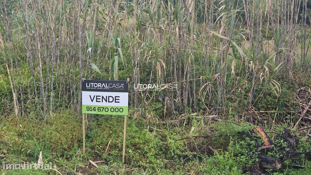 Lote Terreno | Moradia Isolada - Grande imagem: 2/7