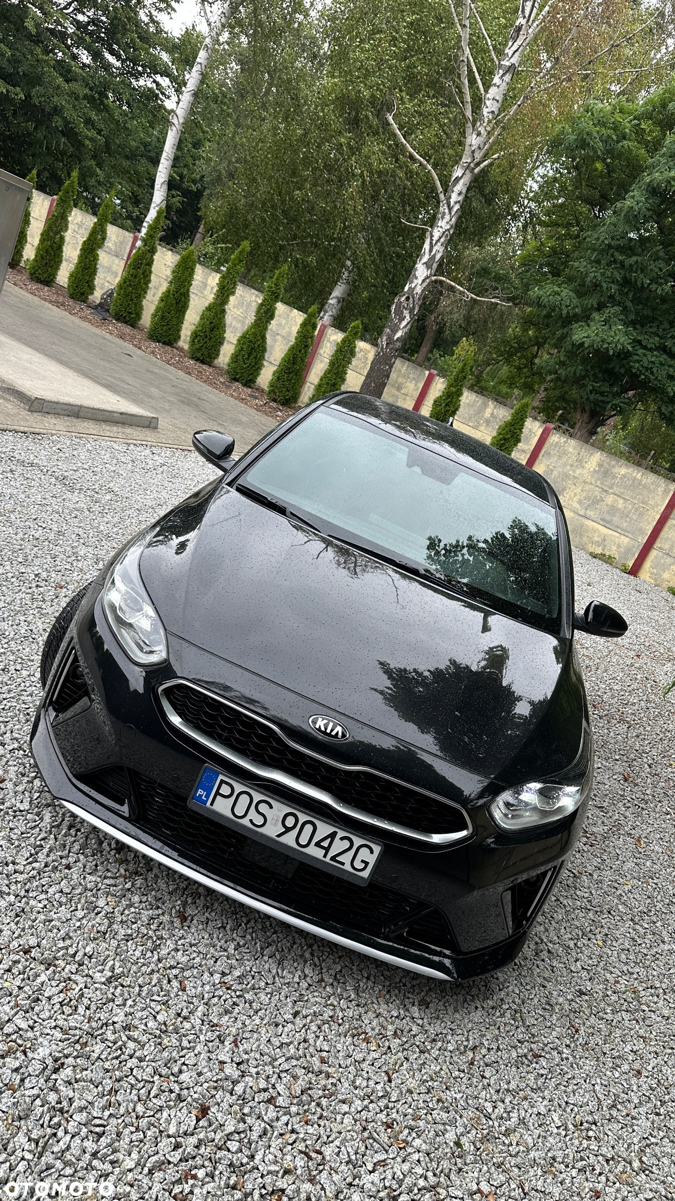 Kia ProCeed 1.4 T-GDI DCT7 OPF GT LINE - 5