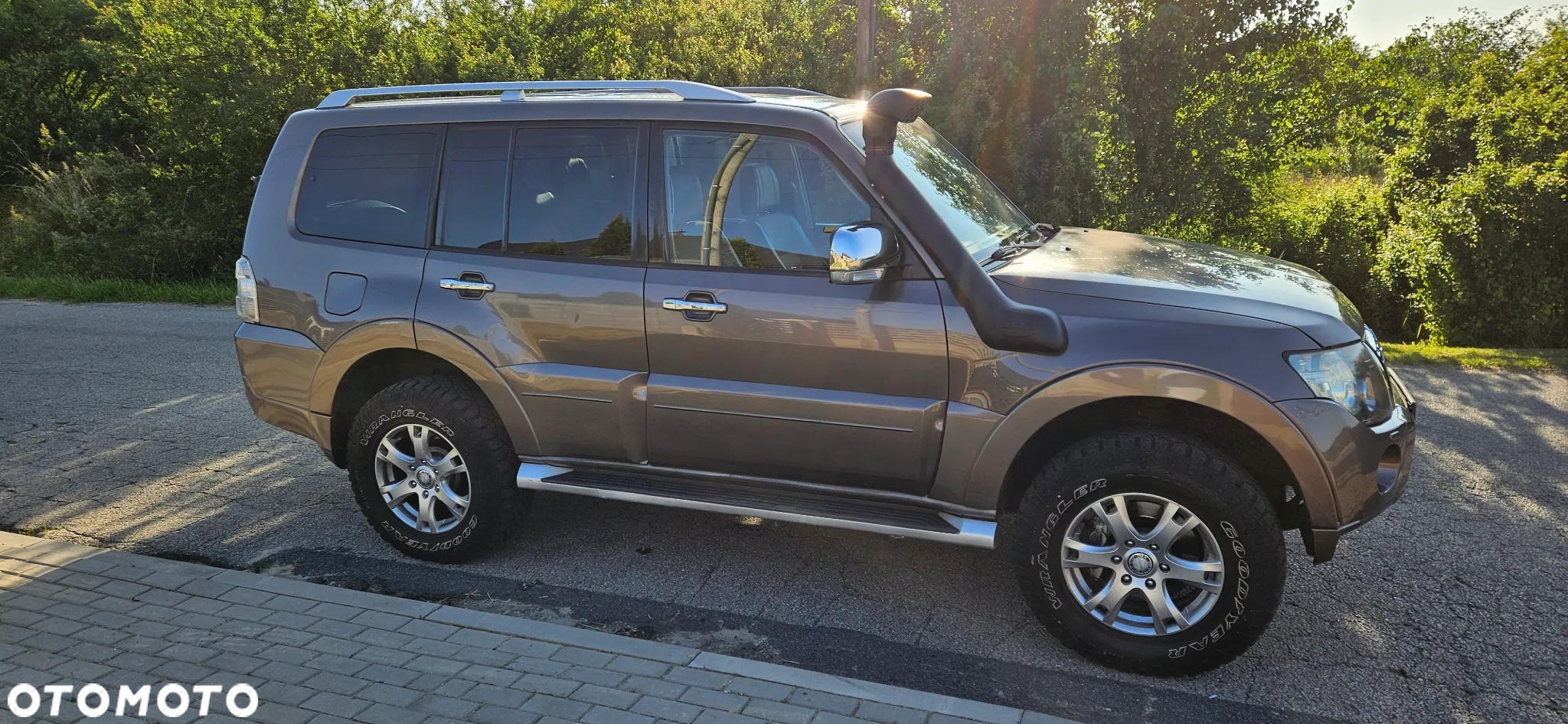 Mitsubishi Pajero - 6