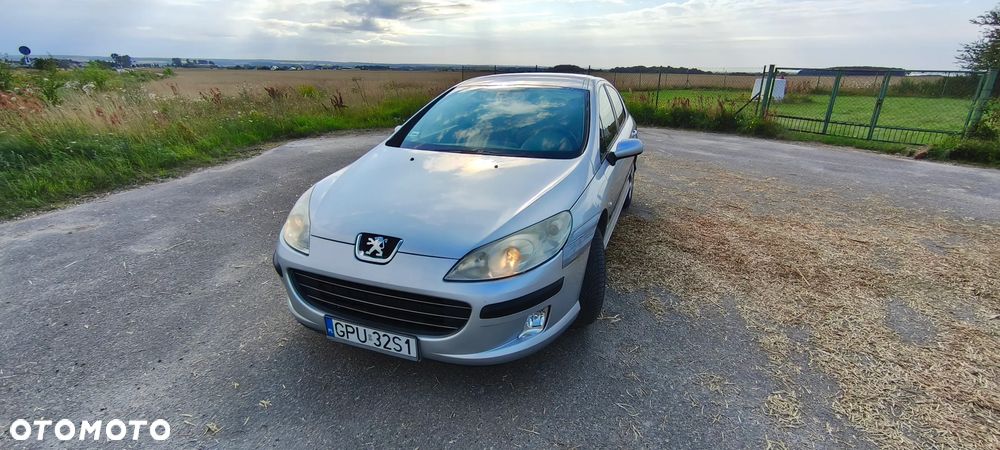 Peugeot 407 - 14
