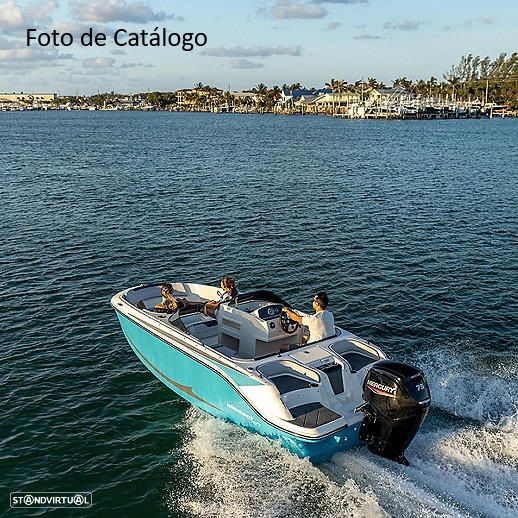 Bayliner Element M17 - 2