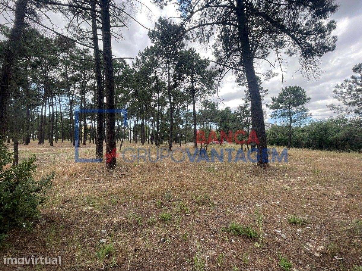 Loteamento edifícios, para venda, Setúbal - Azeitão - Grande imagem: 3/19