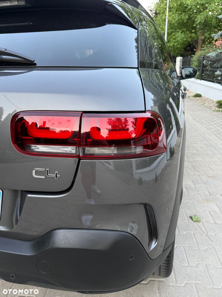Citroën C4 Cactus 1.2 PureTech GPF Shine S&S EAT6 - 13