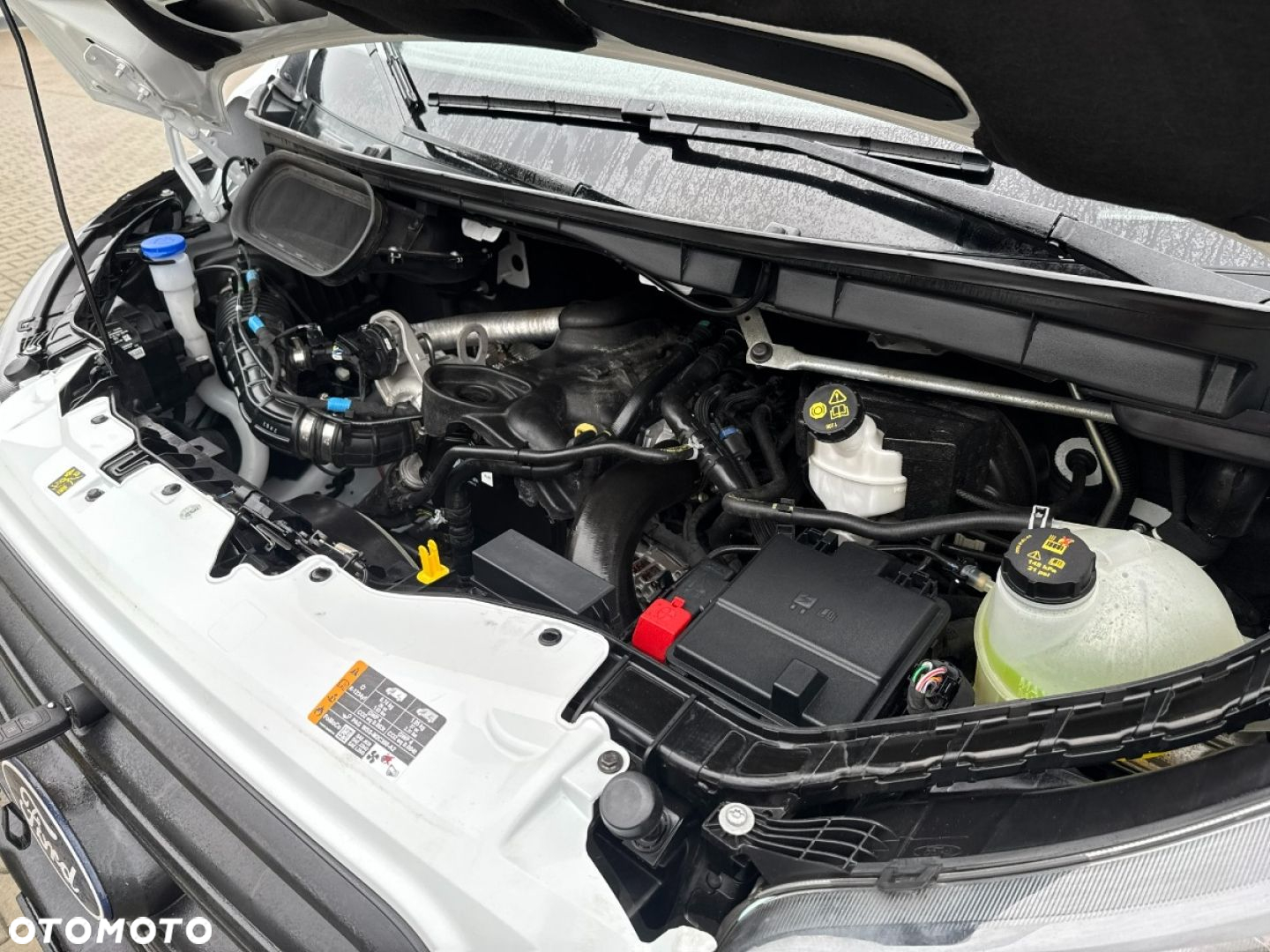 Ford Transit - 32