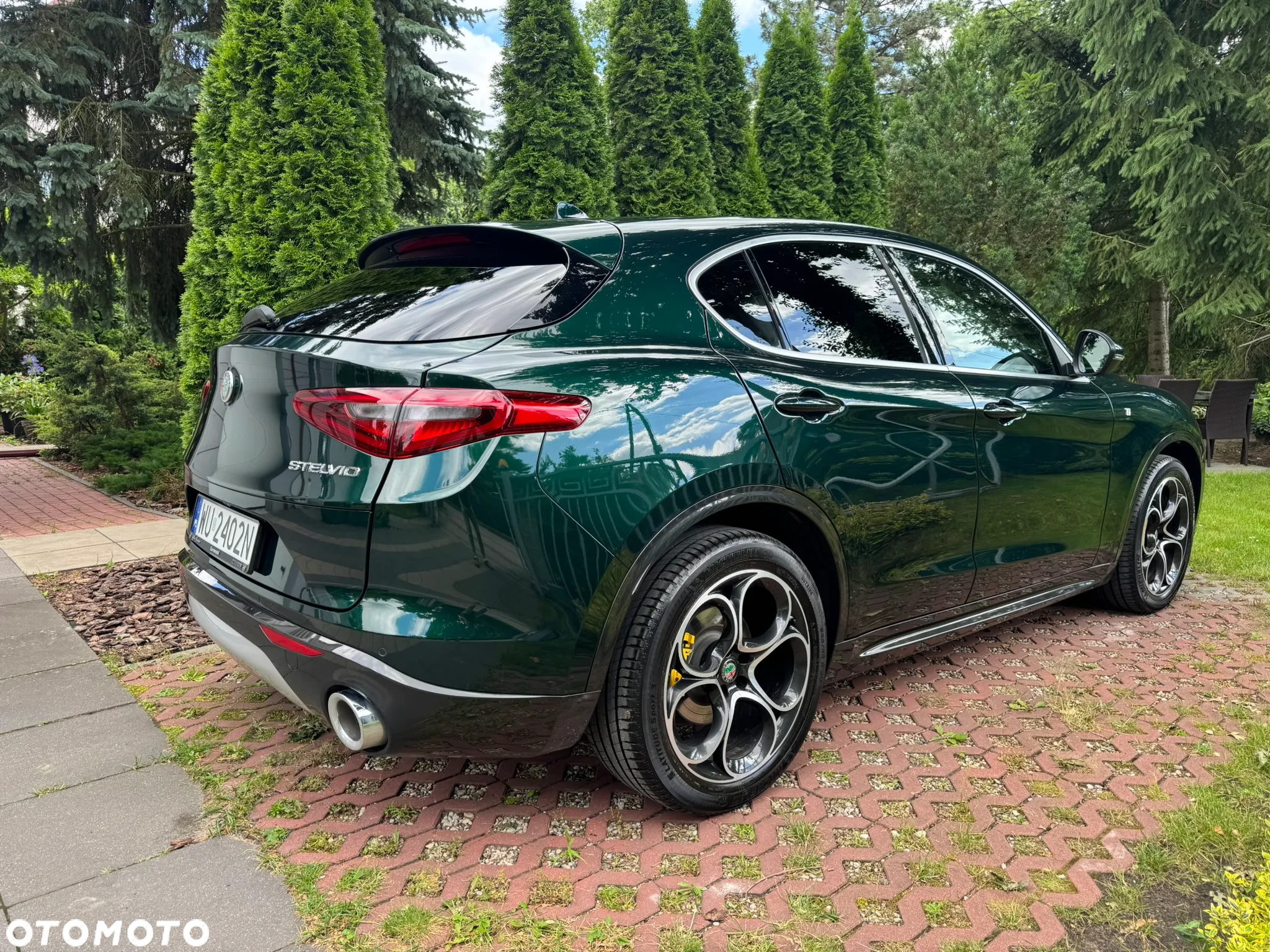 Alfa Romeo Stelvio 2.0 Turbo TI Q4 - 8