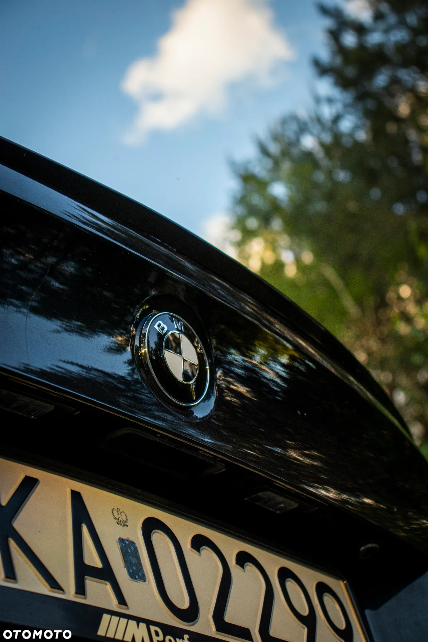 BMW Seria 3 318i - 31