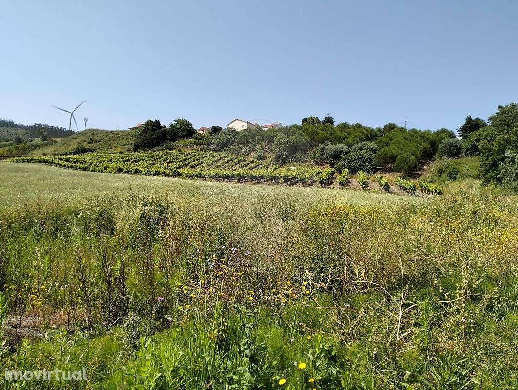 Terreno  para venda - Grande imagem: 2/5