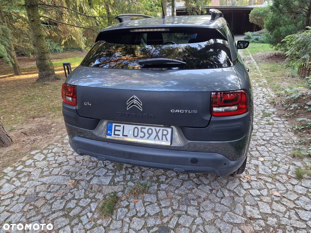 Citroën C4 Cactus 1.2 PureTech MoreLife S&S ETG - 3