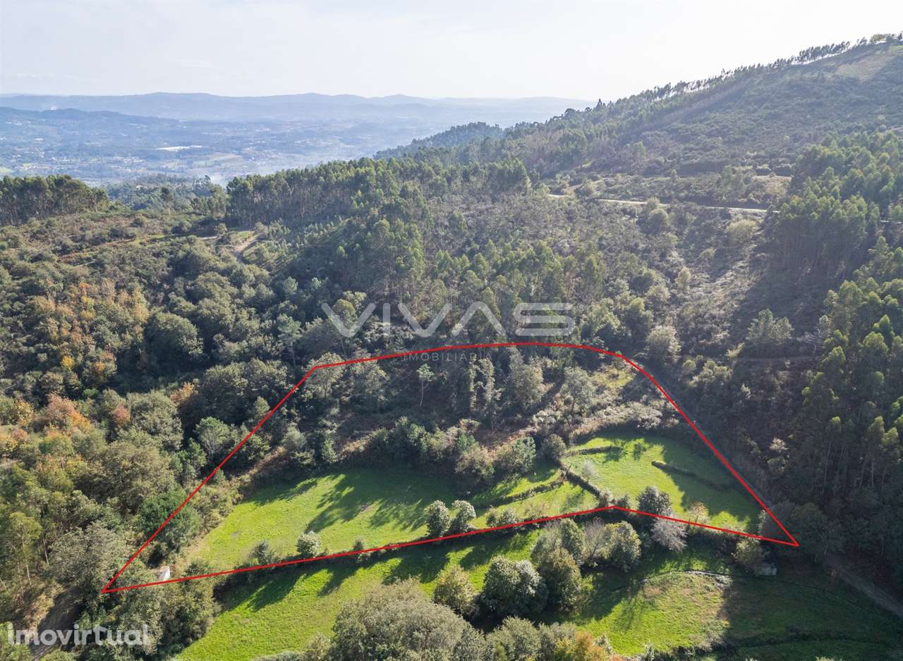 Terreno agrícola em Penascais, Vila Verde - Grande imagem: 2/13