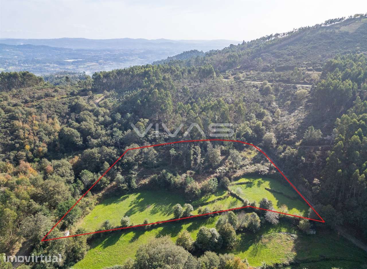 Terreno agrícola em Penascais, Vila Verde - Grande imagem: 2/13