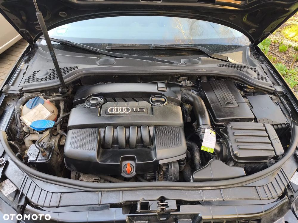 Audi A3 3-drzwiowe - 13