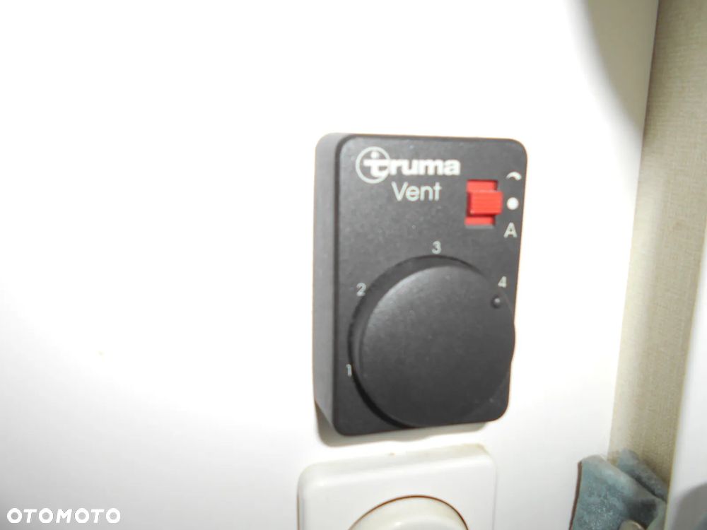 Kip GREY - LINE 42 T - 23