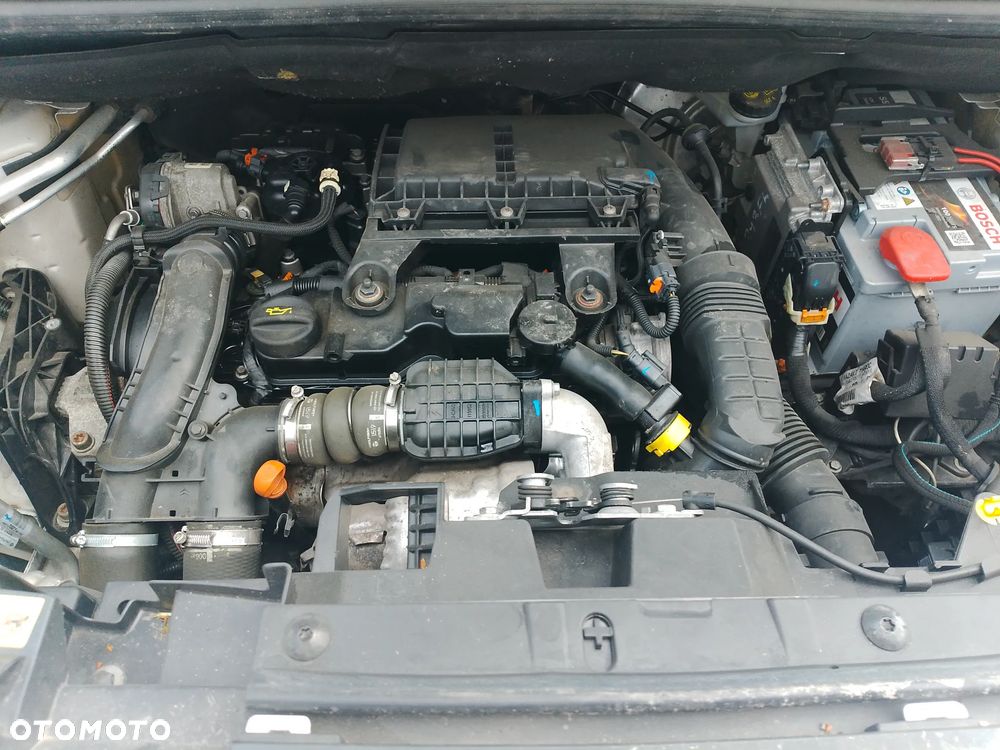 Toyota Proace L2 Partner Berlingo Combo Doblo L2 Izoterma Chłodnia Salon PL półka Inox 3 osoby - 24