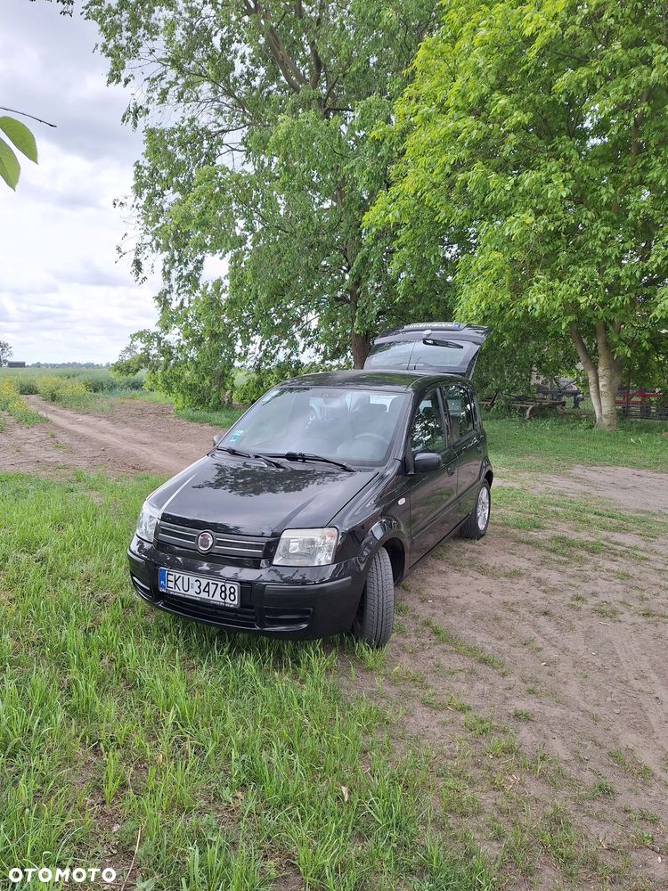 Fiat Panda - 1