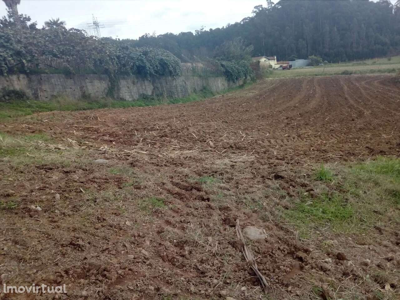 Terreno com viabilidade de construção em Oliveira de Azeméis - Grande imagem: 3/3