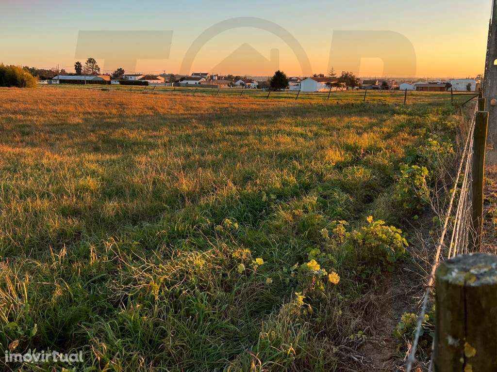 Terreno Urbanizável C/ 20.000m2 - Foros de Salvaterra - 320.000€ - Grande imagem: 3/5