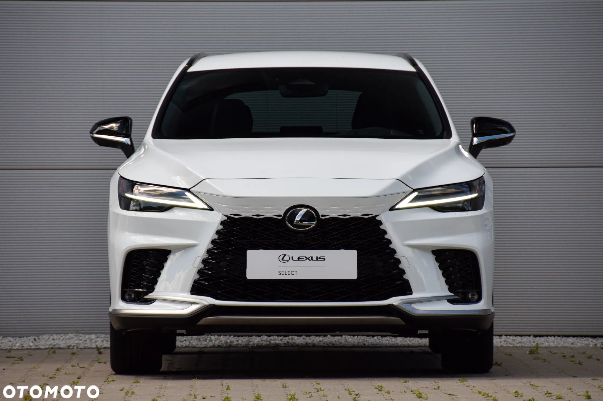 Lexus RX 350h F Sport Design - 13