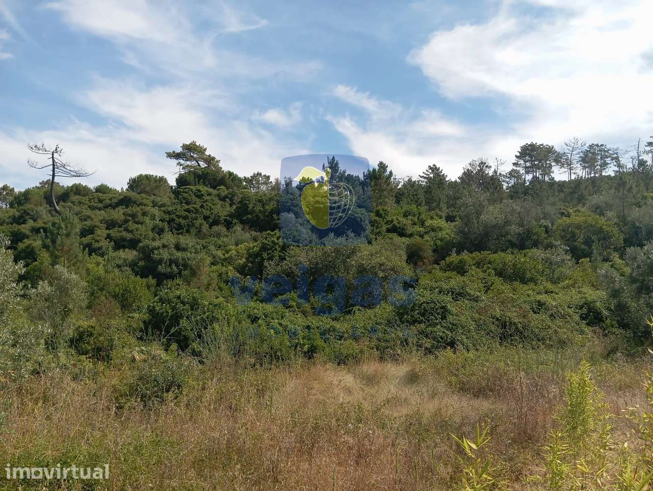 Terreno em São Mamede com possibilidade de construção e com uma área t - Grande imagem: 5/8