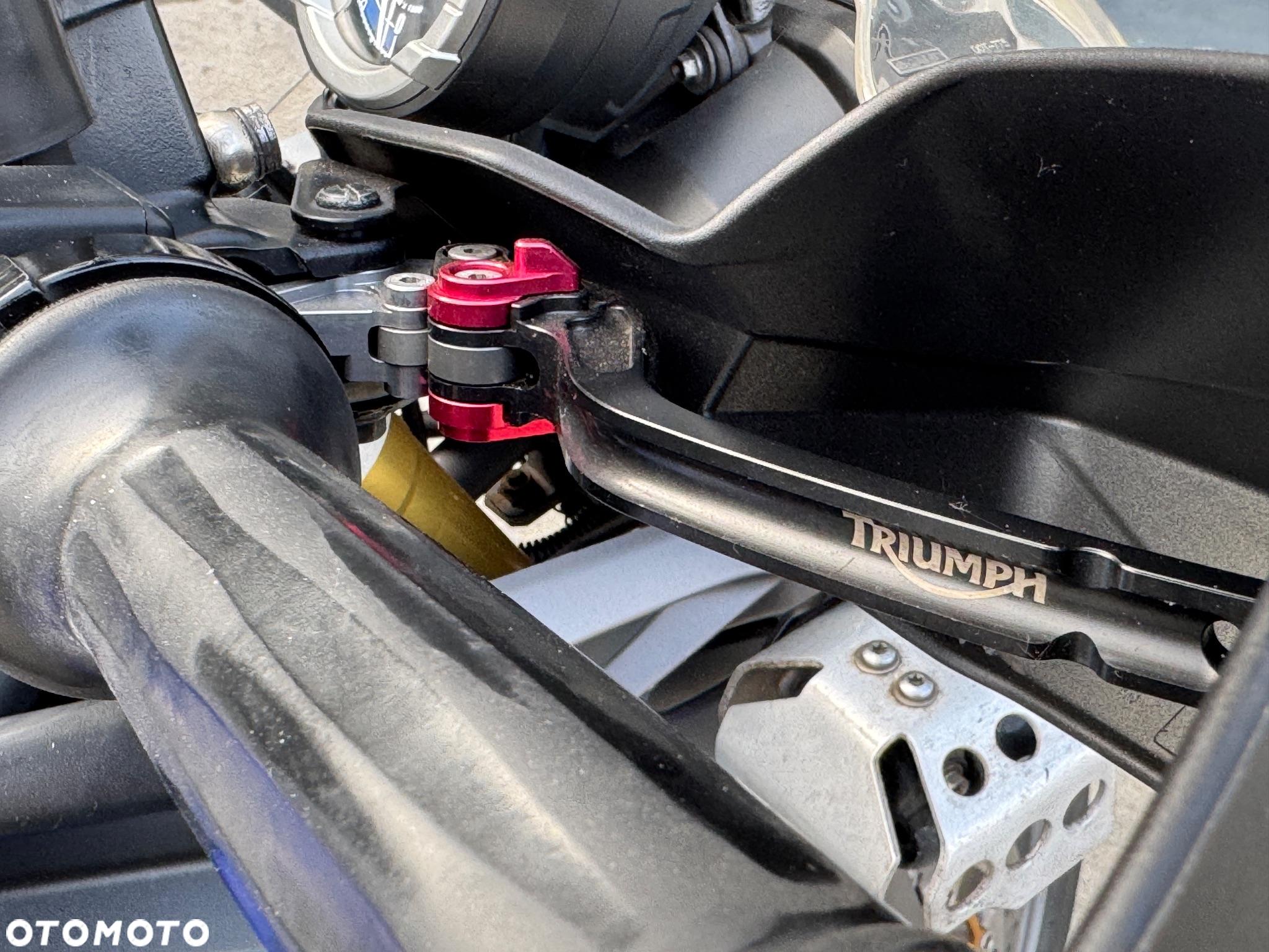 Triumph Tiger - 18
