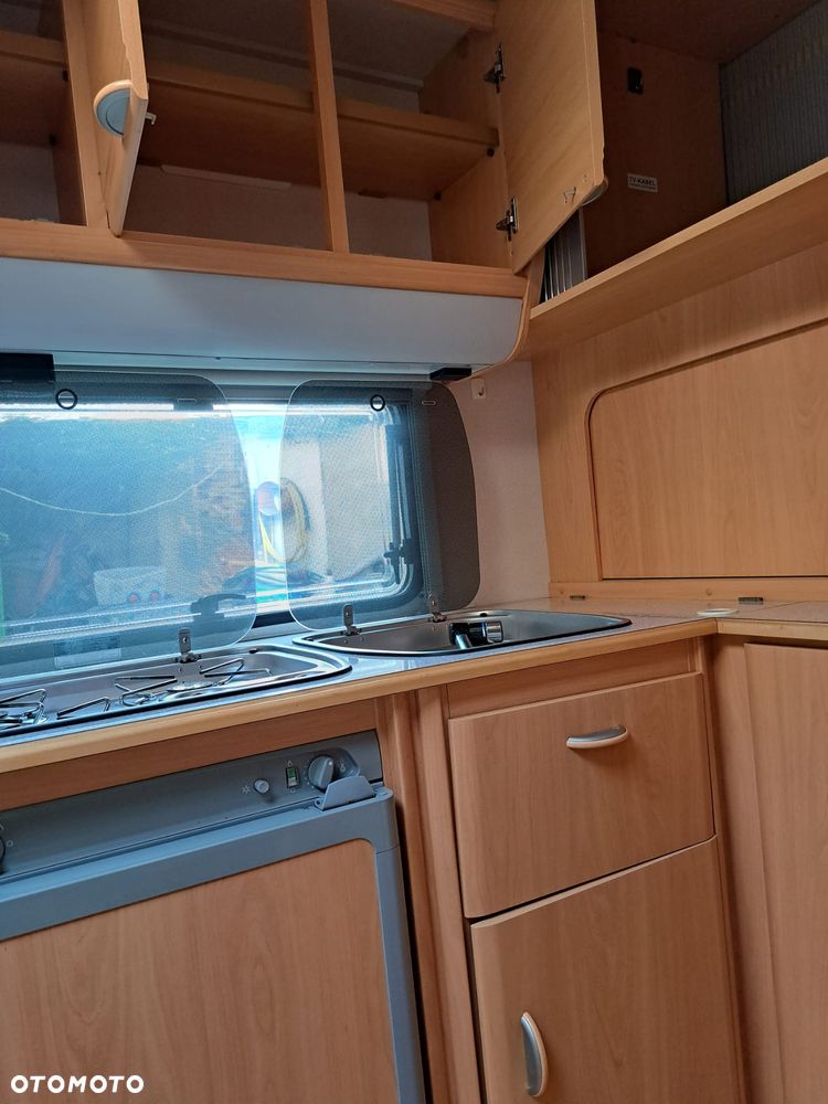 Wilk SPORT 490 - 7