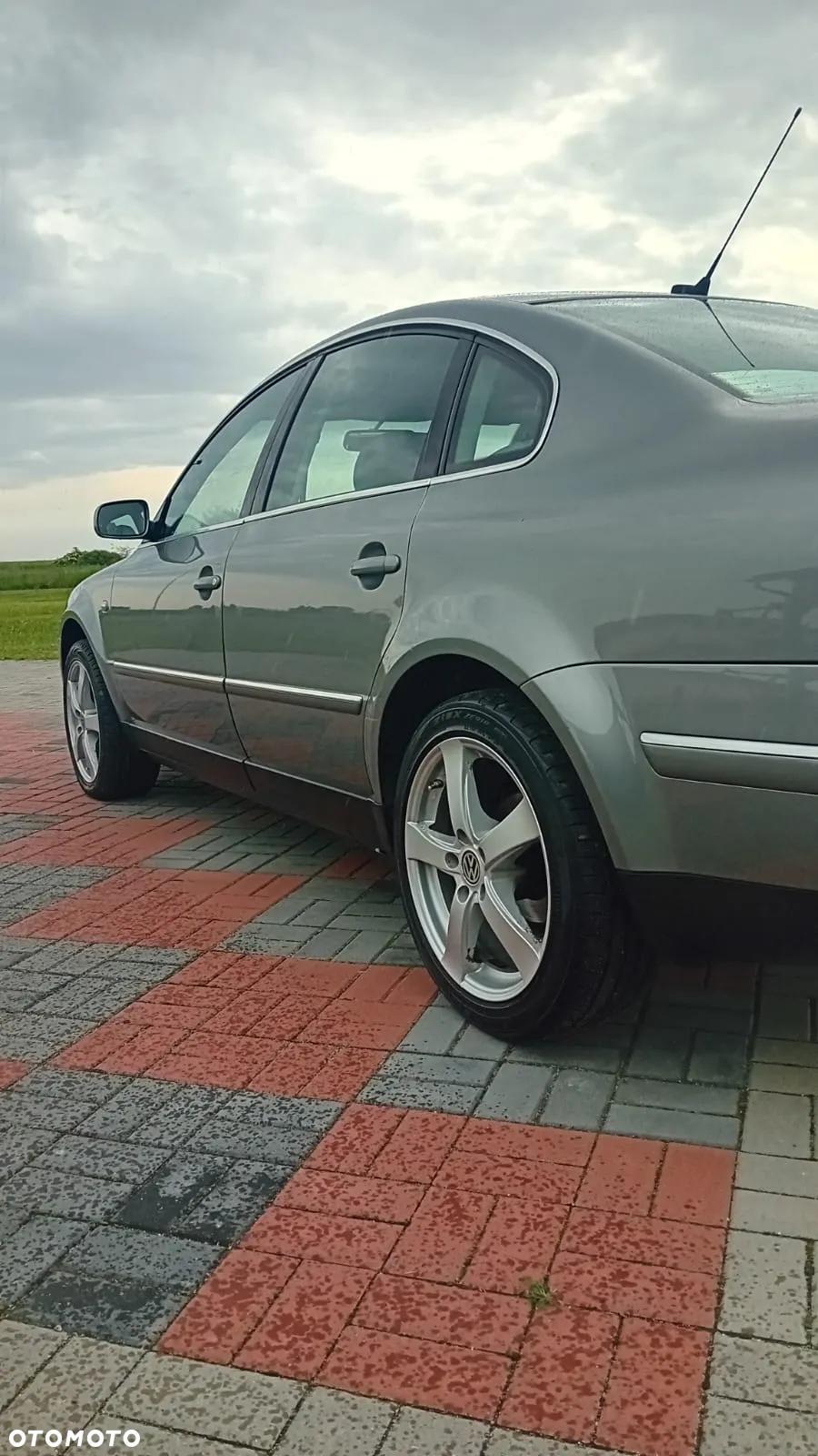 Volkswagen Passat - 5