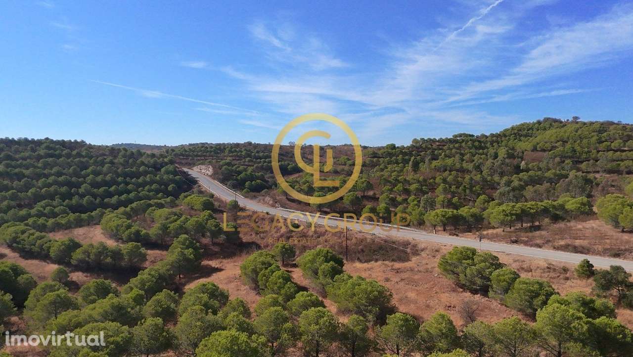 Venda conjunta de 2 terrenos com quase 5 hectares de área total - V... - Grande imagem: 5/12