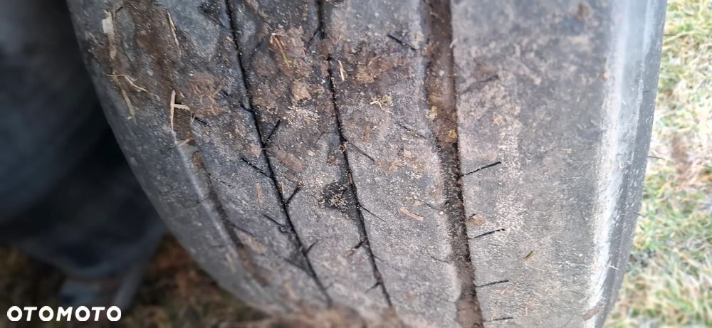 Schmitz Cargobull Hakówka - 19