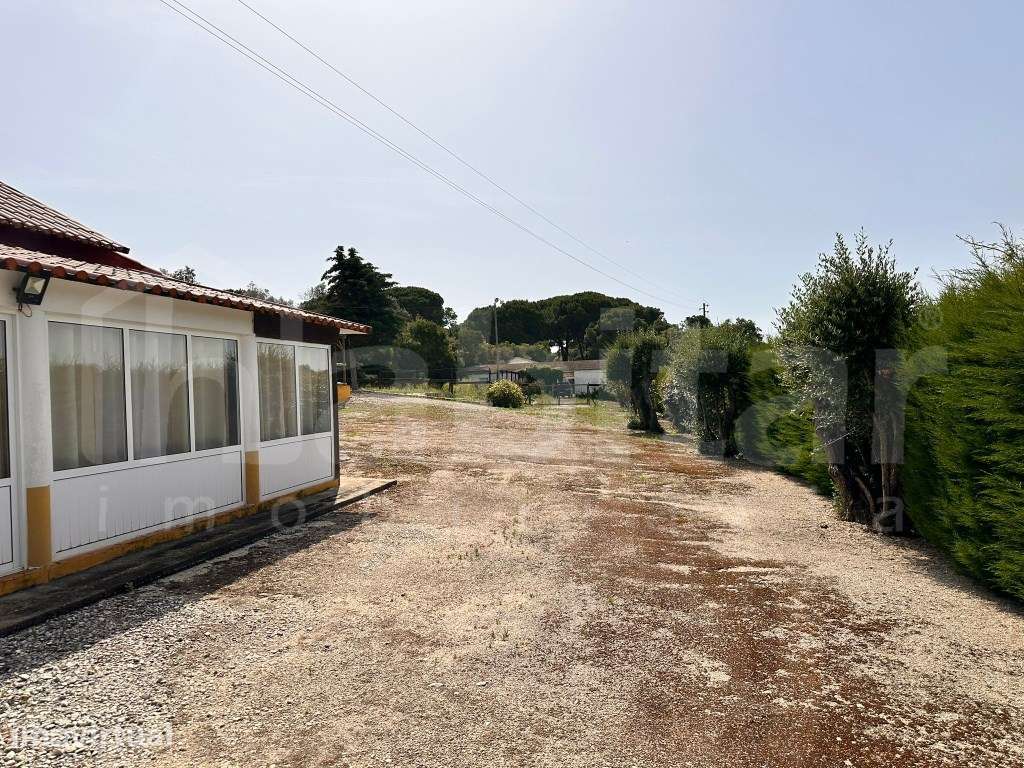 Quinta Equestre com 16 Boxes, Picadeiro e 1,41 ha em Santo Estêvão. - Grande imagem: 5/16