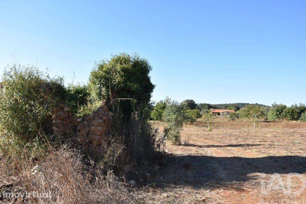 Terreno para construção em Areias e Pias de 8120,00 m2 - Grande imagem: 4/19