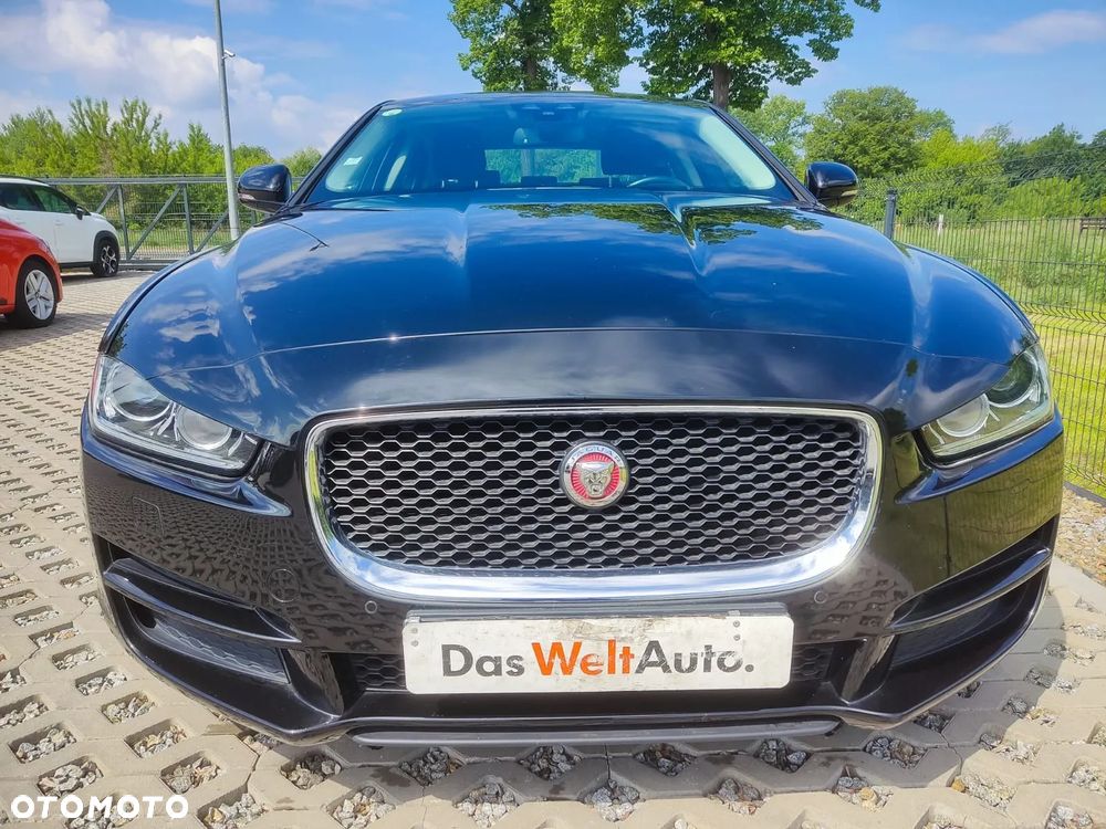 Jaguar XE E-Performance Pure - 5