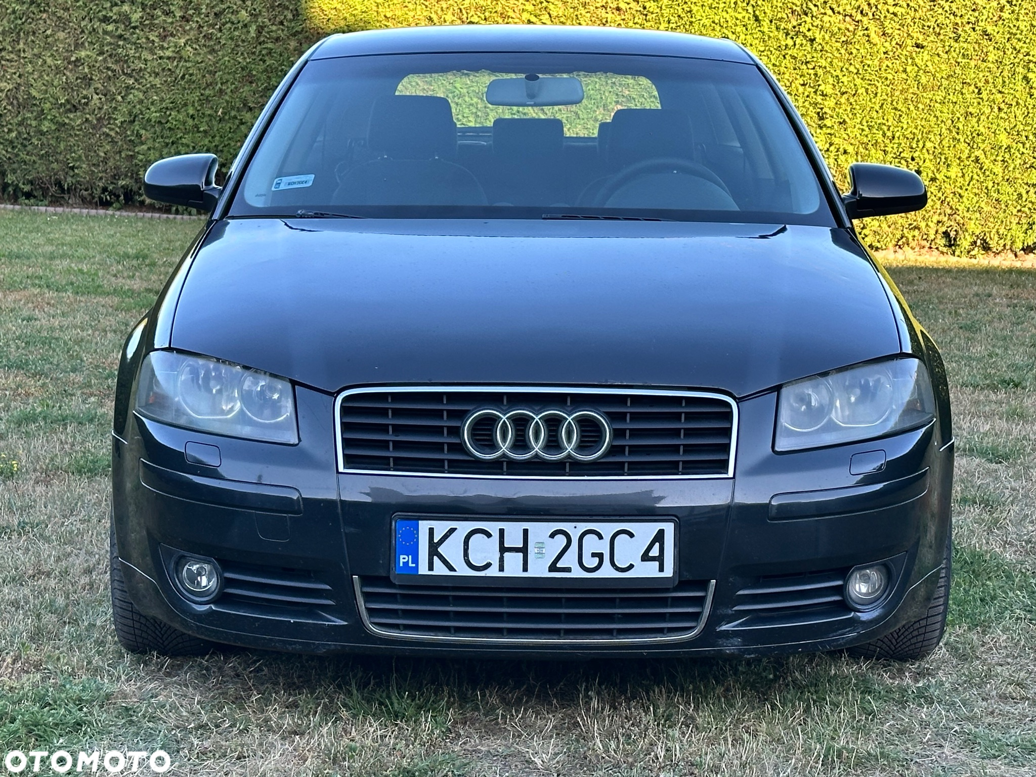 Audi A3 1.9 TDI Attraction - 2