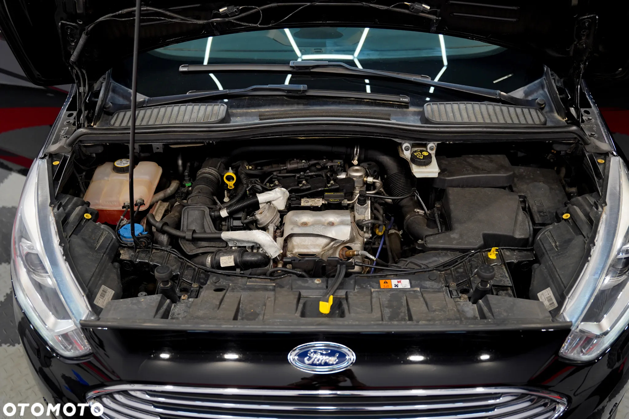 Ford C-MAX 1.0 EcoBoost Start-Stopp-System Titanium - 31